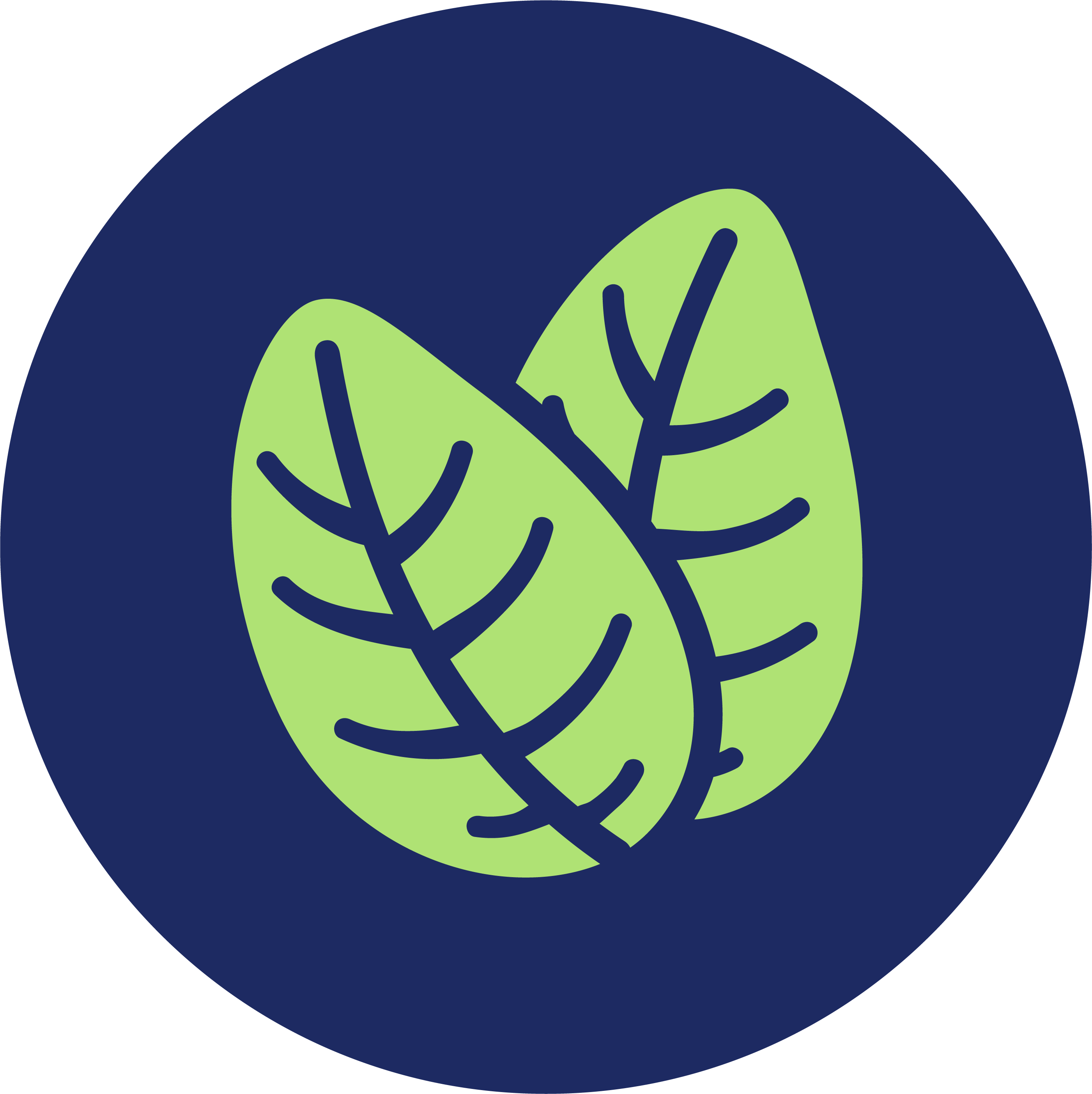 La Copy Sostenibile logo è rappresentato dai semi verdi in un sfondo blu che sono due dei colori che rispecchiano il brand della Copy