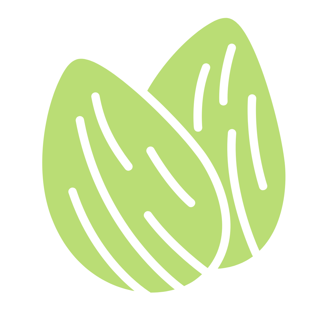 I semi della seo sostenibile