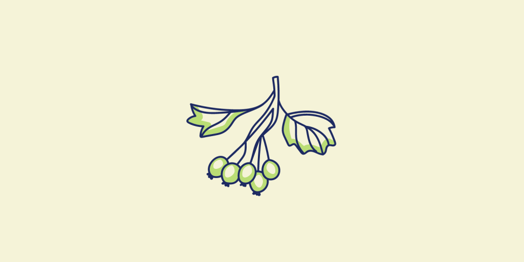 Il  Biancospino nell'orto circolare della Copy Sostenibile rappresenta il servizio di creazione testi in ottica seo